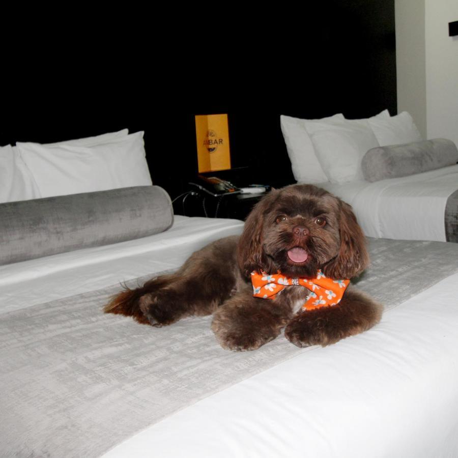 Stay Inn Hotels 雷诺萨 外观 照片